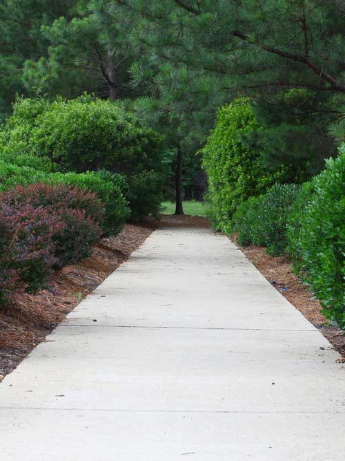 Concrete sidewalks, Kingsville