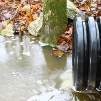 Sewer Services, Leamington, Ontario